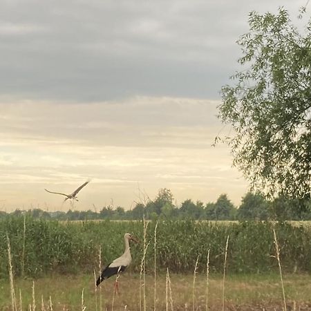 Ferienwohnung Fuchsberge Letschin Esterno foto