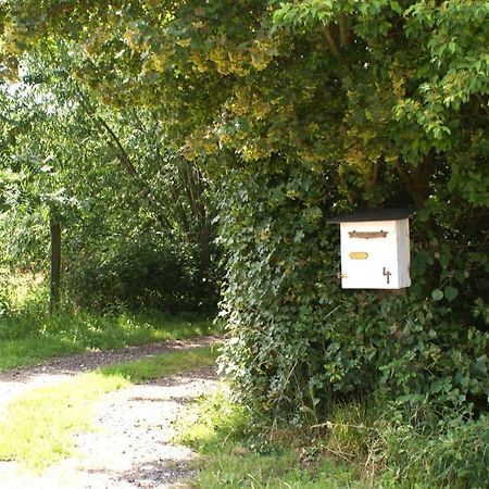 Ferienwohnung Fuchsberge Letschin Esterno foto