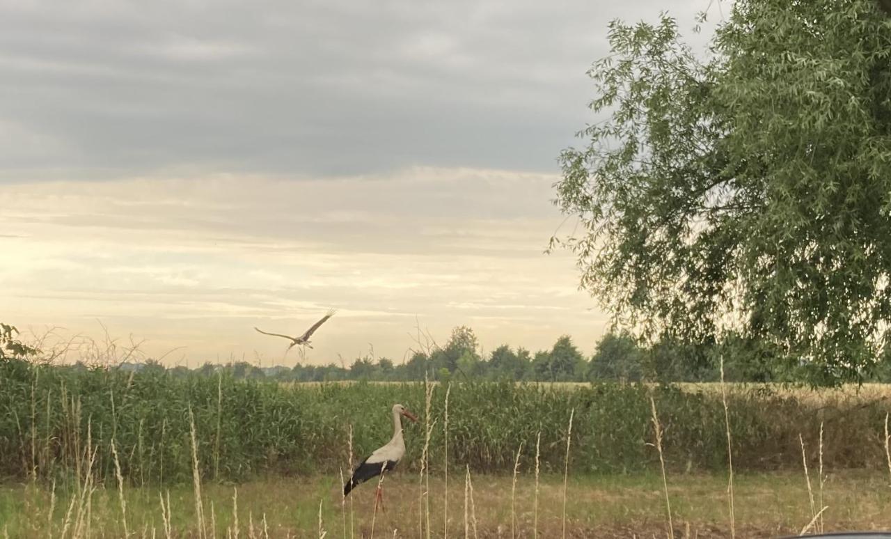 Ferienwohnung Fuchsberge Letschin Esterno foto