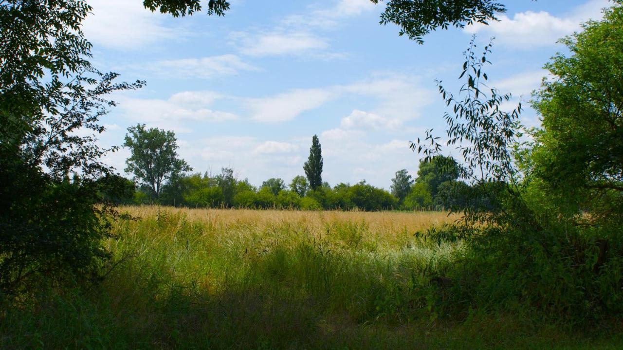Ferienwohnung Fuchsberge Letschin Esterno foto