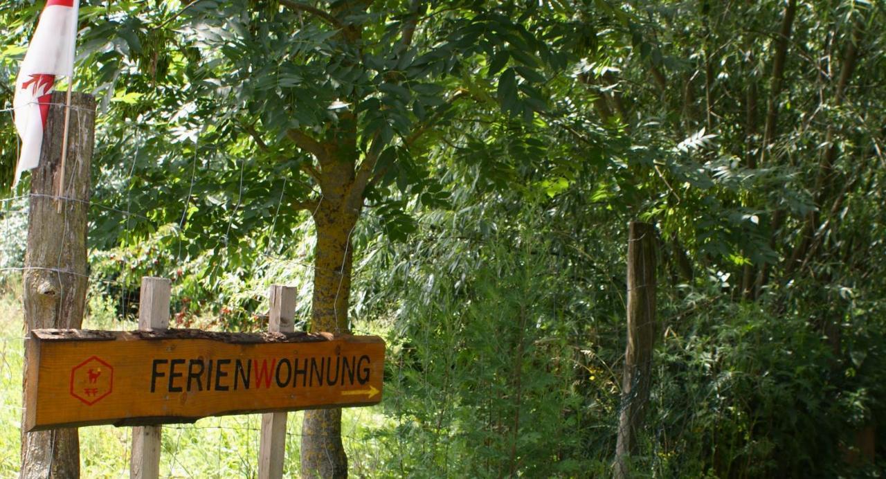 Ferienwohnung Fuchsberge Letschin Esterno foto